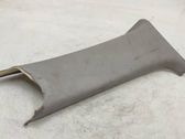 (C) pillar trim
