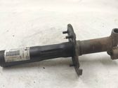 Rear bumper shock impact absorber/damper