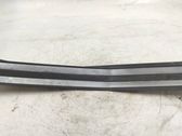 Rear sill trim cover
