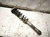 Rear shock absorber with coil spring