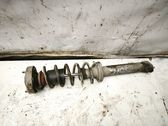 Rear shock absorber with coil spring