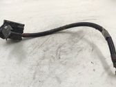 Positive wiring loom