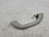 Rear interior roof grab handle