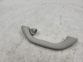 Front interior roof grab handle