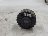 Camshaft pulley/ VANOS