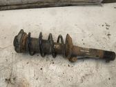 Front shock absorber with coil spring