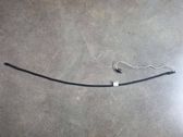 Other wiring loom