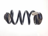 Rear coil spring