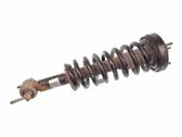 Front shock absorber with coil spring