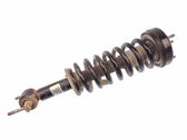 Front shock absorber with coil spring