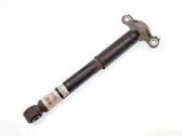 Rear shock absorber/damper