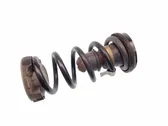 Rear coil spring