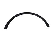 Fender trim (molding)