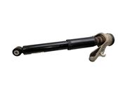 Rear shock absorber/damper