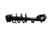 Front shock absorber with coil spring