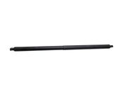 Tailgate/trunk strut/damper