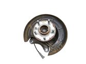 Rear wheel hub
