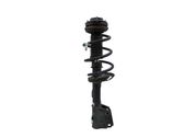 Front shock absorber with coil spring