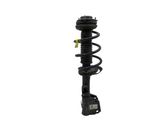 Front shock absorber with coil spring