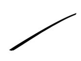 Windshield trim