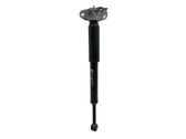Rear shock absorber/damper