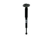 Rear shock absorber/damper