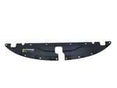 Engine bonnet/hood lock trim molding