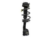 Front shock absorber with coil spring