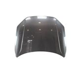 Engine bonnet/hood