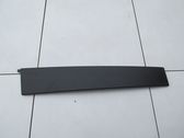 Listón embellecedor de la puerta delantera (moldura)