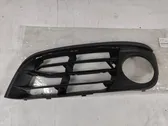 Front bumper lower grill