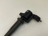 High voltage ignition coil