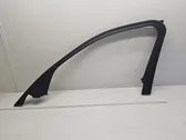 Listón embellecedor de la ventana de la puerta delantera