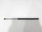 Tailgate strut