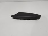 Moldura del asa de la puerta traser