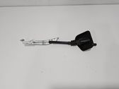 Tailgate/trunk strut/damper