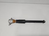 Rear shock absorber/damper