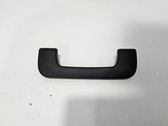Front interior roof grab handle
