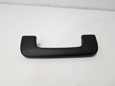 Front interior roof grab handle