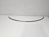Engine hood trim