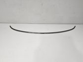 Engine hood trim