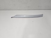 (A) pillar trim