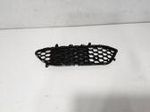 Grille inférieure de pare-chocs avant