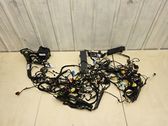 Faisceau de câblage pour installation électrique