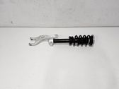 Front shock absorber with coil spring