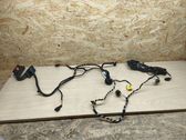 Front door wiring loom