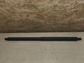 Tailgate/trunk strut/damper
