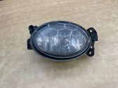 Front fog light