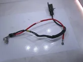 Positive cable (battery)