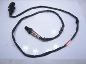 Lambda zondas
